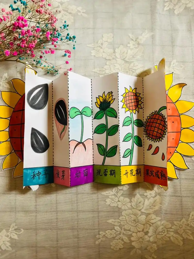 儿童创意画我的自然笔记