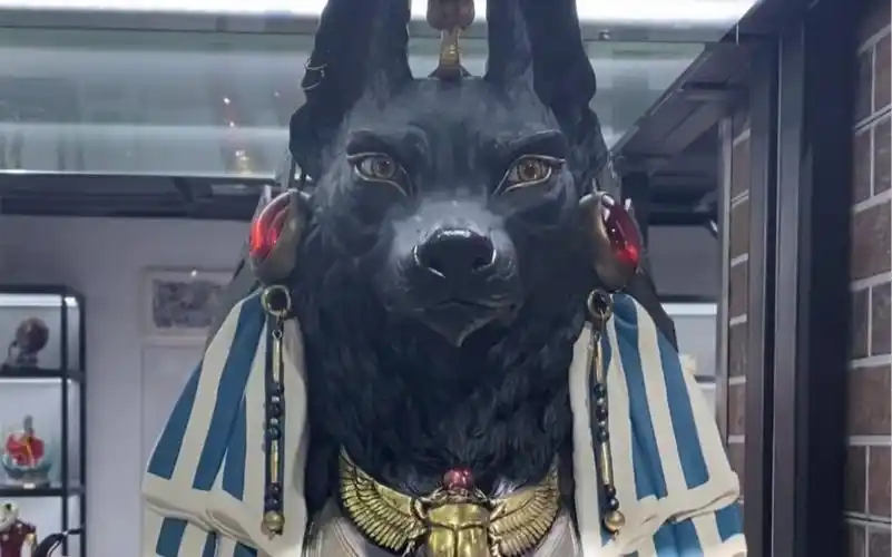 狐狼头,人身,古埃及神话中的死神——阿努比斯半身像