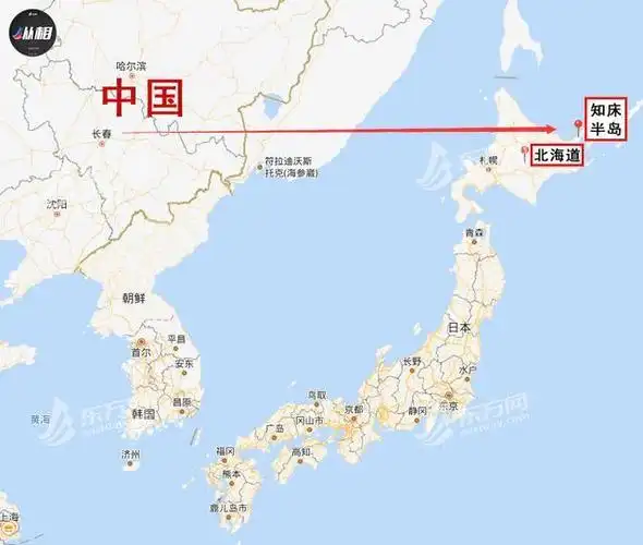 国庆庆祝气球飘到日本北海道 网友:质量真好!