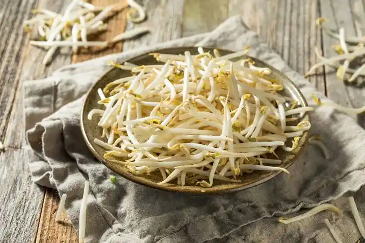 种"良药",性寒,无毒,具有补阳滋阴,清热利湿,利尿解毒,健脾开胃等功效