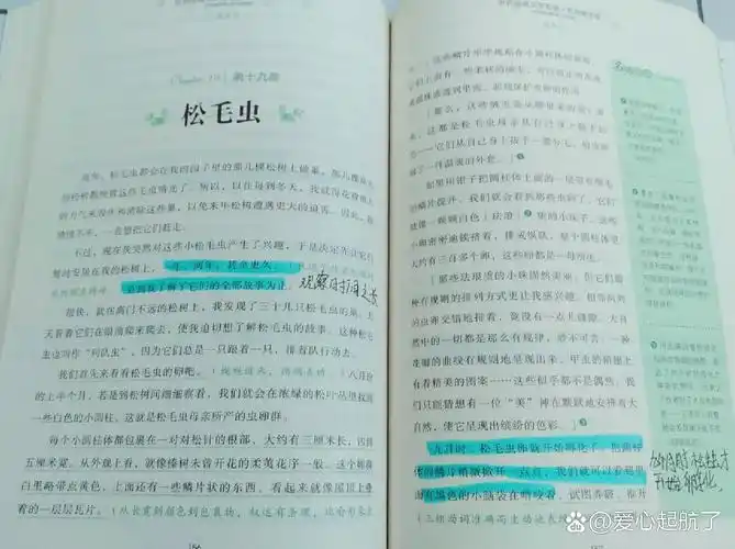 《昆虫记》第十九章 松毛虫