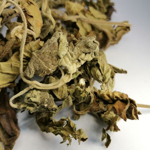 植物炼金术藿香特级几乎全是叶片香制原料香薰香料