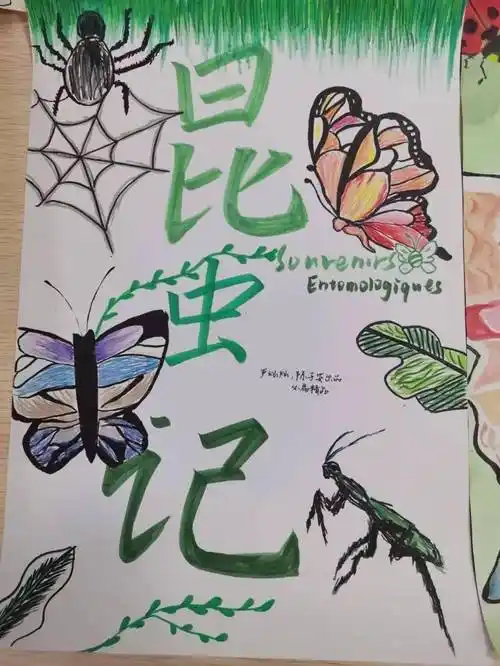 804 严灿灿,陈子安为《昆虫记》设计的封面和解说词《昆虫记》以其