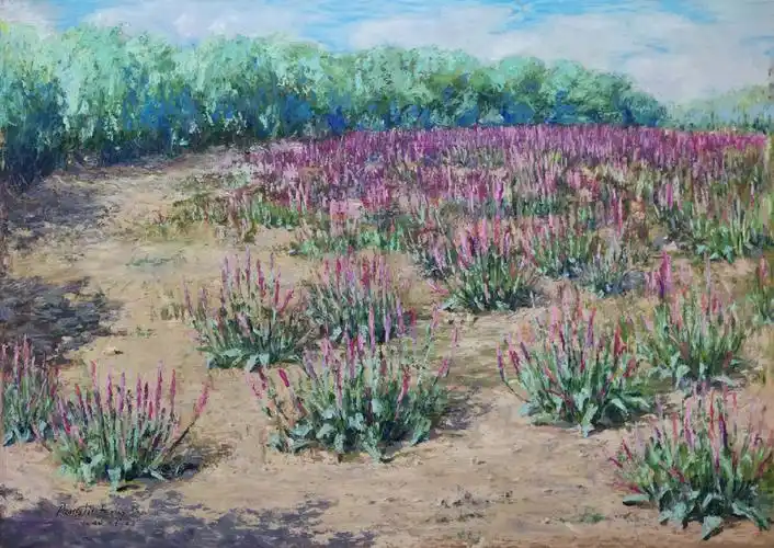 油画棒鼠尾草a3