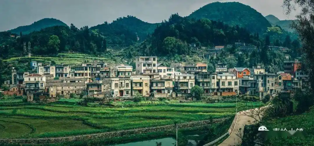 春山如笑 以梦为马——南岭镇大山村