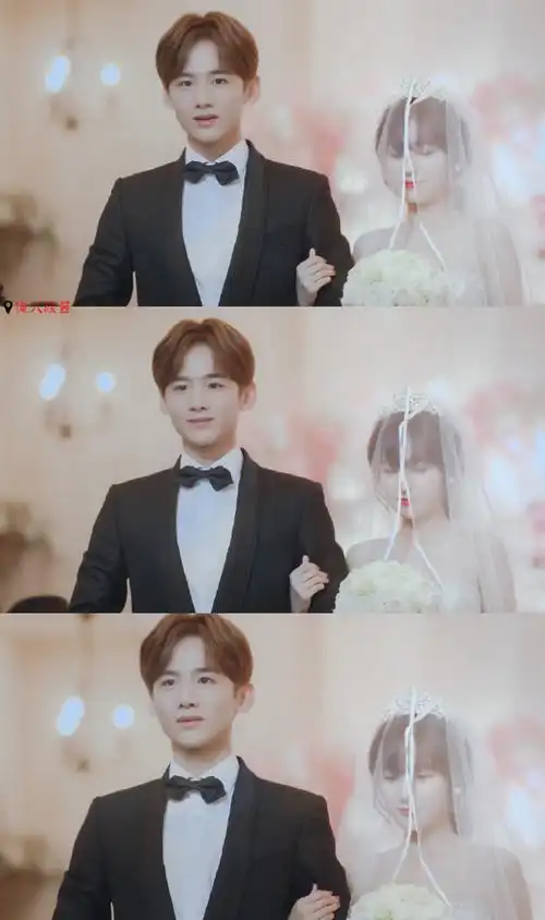 夏至未至##陆之昂##颜末##白敬亭##郑合惠子