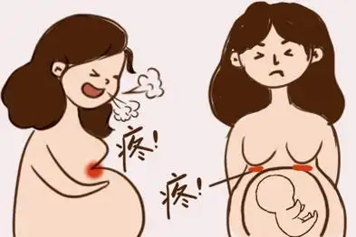 孕晚期胸下面的位置疼图