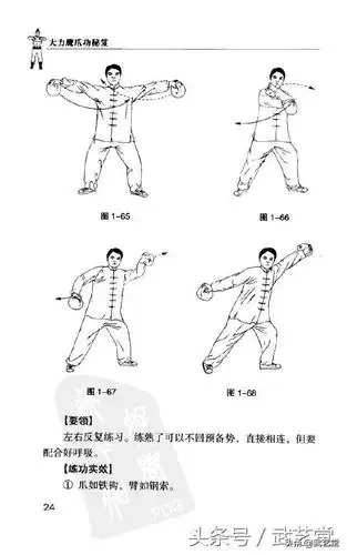 吴氏世传大力鹰爪功