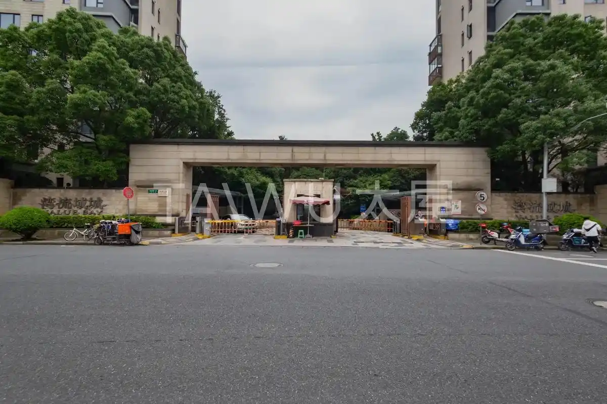 金地湾流域一本产证大平层稀缺户型急