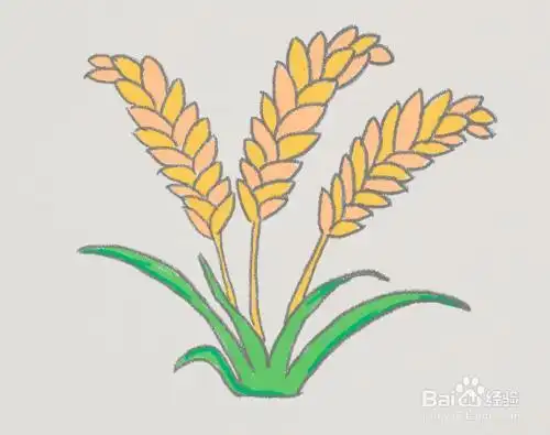 谷穗的简笔画画法