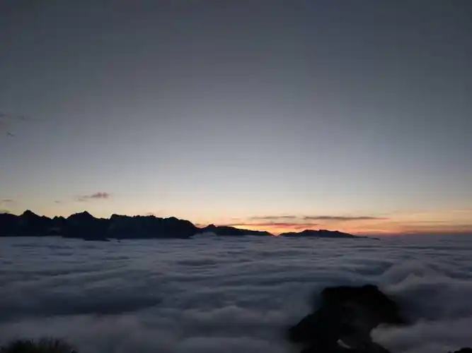 日出雾露馀,青松如膏沐