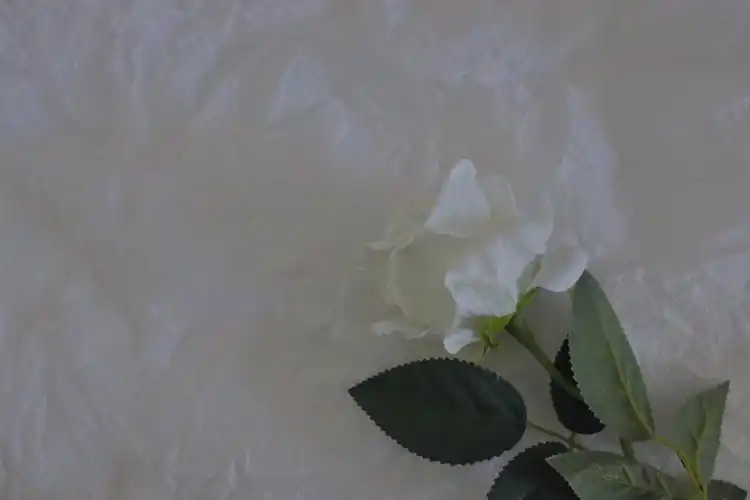 电脑壁纸 桌面壁纸 聊天背景 锁屏壁纸 ins 油画 iphone 【禁商用】