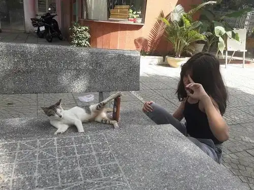 当你一个人在外的时候没人跟你拍照的时候,你需要一只猫!