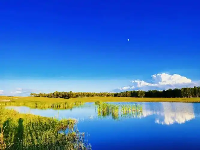 最美的地方并不是某个地方,而是一路看不尽的风景#张北草原  #治愈系