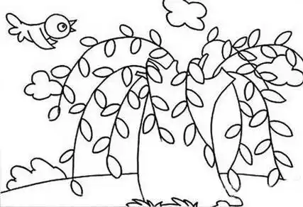 柳树画法 柳树画法图片简笔画