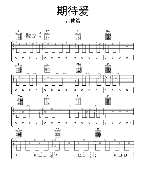期待爱吉他谱乐谱