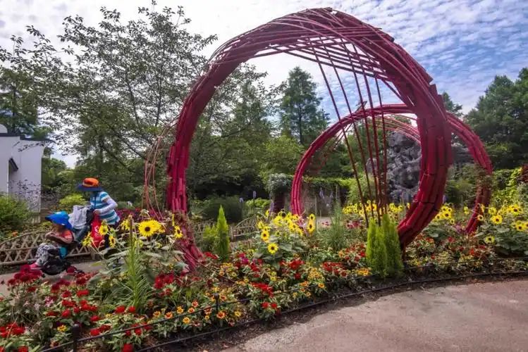 来赴一场夏花的盛宴2021上海植物园夏季花展今日开幕