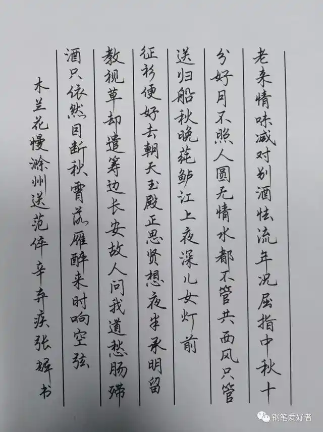 辛弃疾《木兰花慢》手写钢笔字笔友钢笔书法习作欣赏