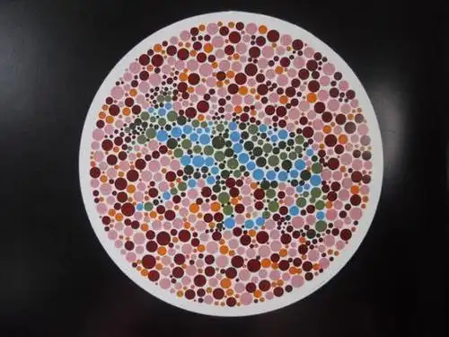 这几张色盲检测图你能看出几张?都能辨认的话,快去报考驾驶证吧