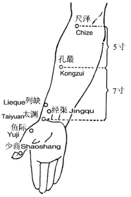 一分钟治疗网球肘qi转载