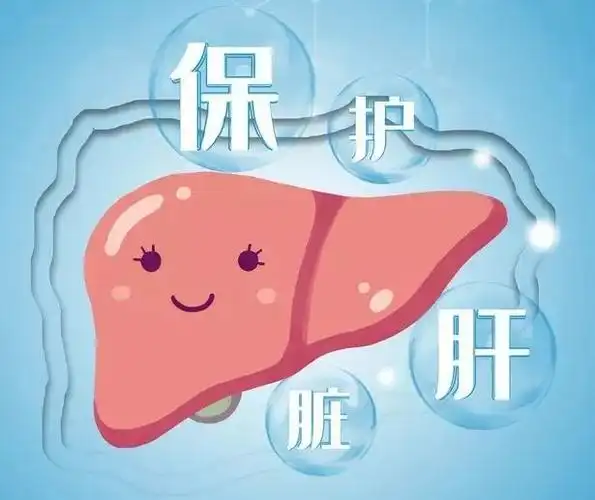 锦州市疾控中心教你日常如何养肝护肝