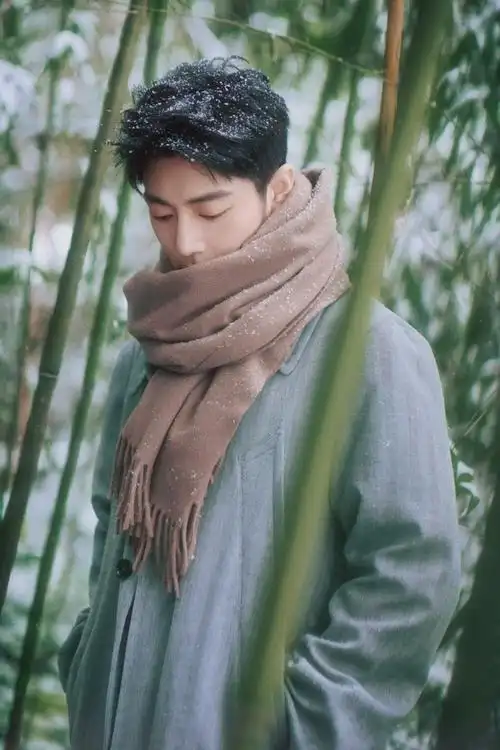 肖战冬至竹林大片