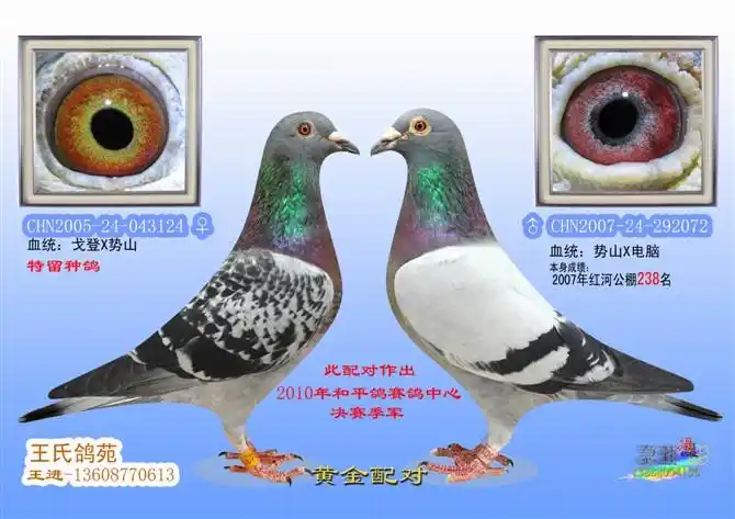 公棚季军之父母