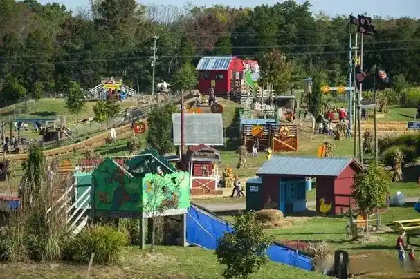 这也是美国许多农场忙碌的时节,各农场会组织很多令人有趣的活动,吸引