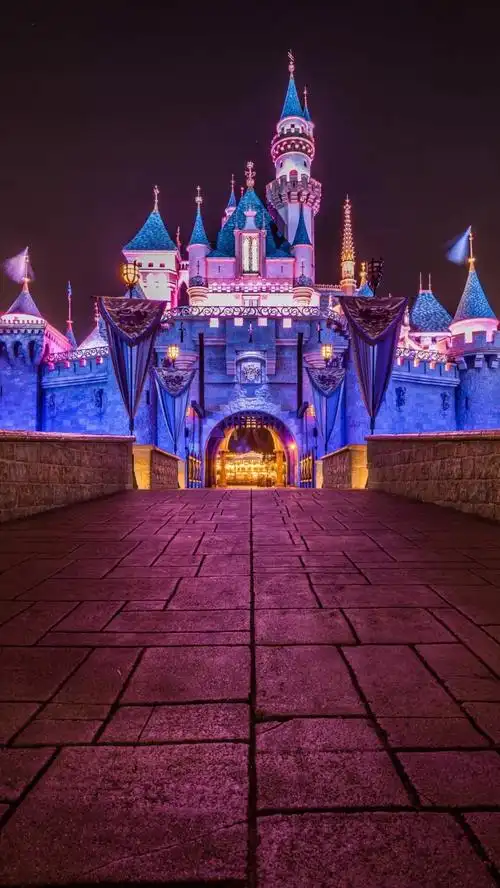 上海迪士尼夜间灯光景色