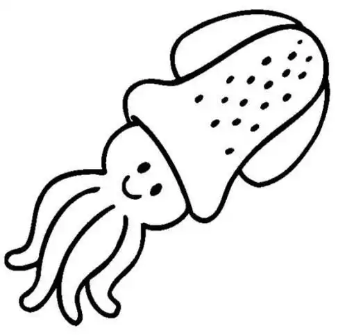 巨型乌贼的脑子简笔画