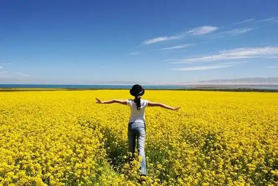 踏青出游,与她相伴,666!