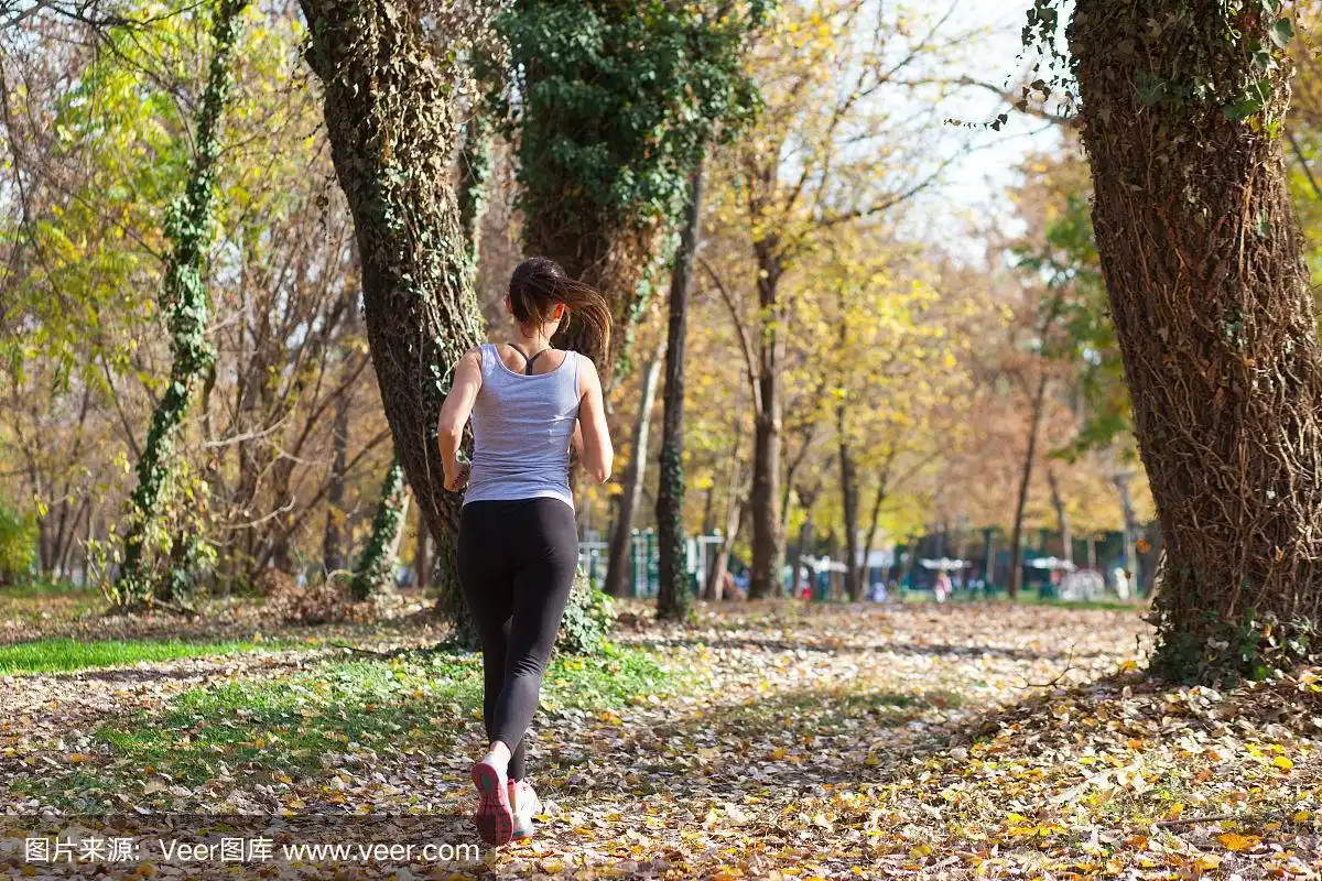 在秋天的树林里,年轻女子慢跑的背影