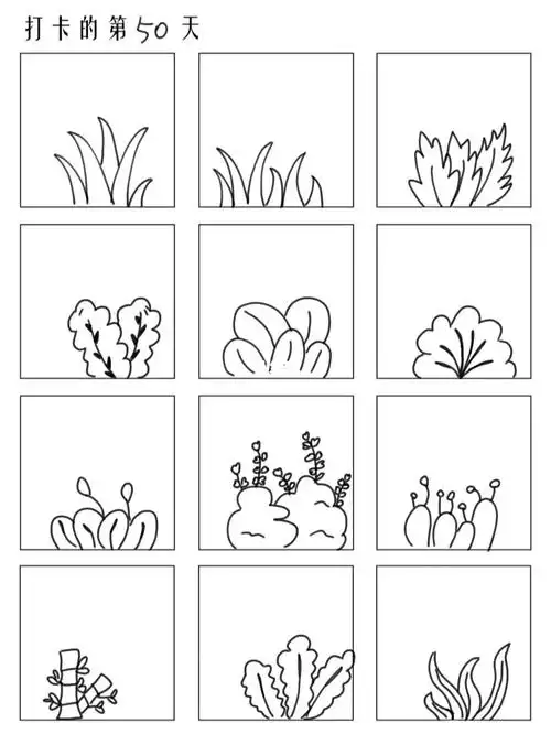 零基础学画画画第50天画小草