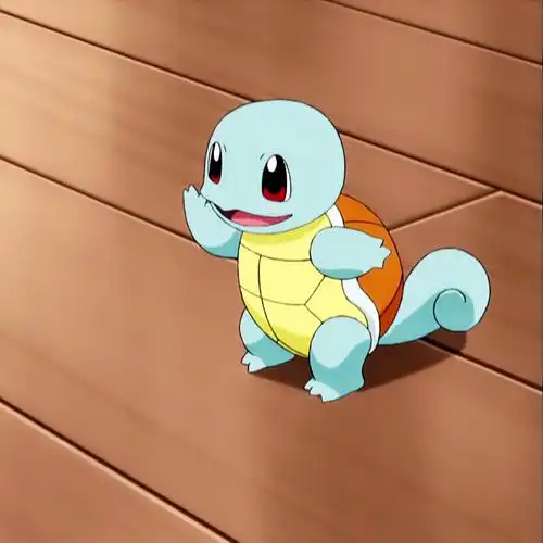 杰尼龟憨憨头像高清