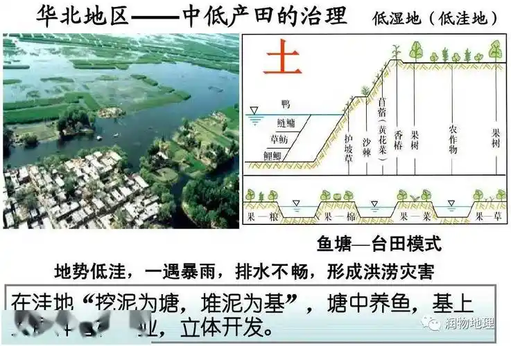 【地理探究】鱼塘—台田模式与基塘农业,你清楚异同吗?