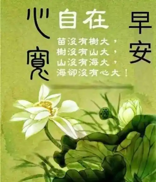 微信早上好问候鲜花图片带字大家早上好暖心祝福语