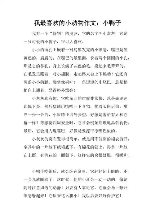 我最喜欢的小动物作文小鸭子
