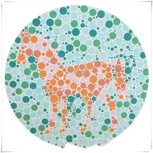 大学同学成了驾考绝缘体,看来此生和驾考已经无缘了!