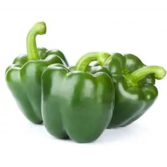 新鲜圆菜椒青椒灯笼椒青甜椒蔬菜青圆椒柿子椒