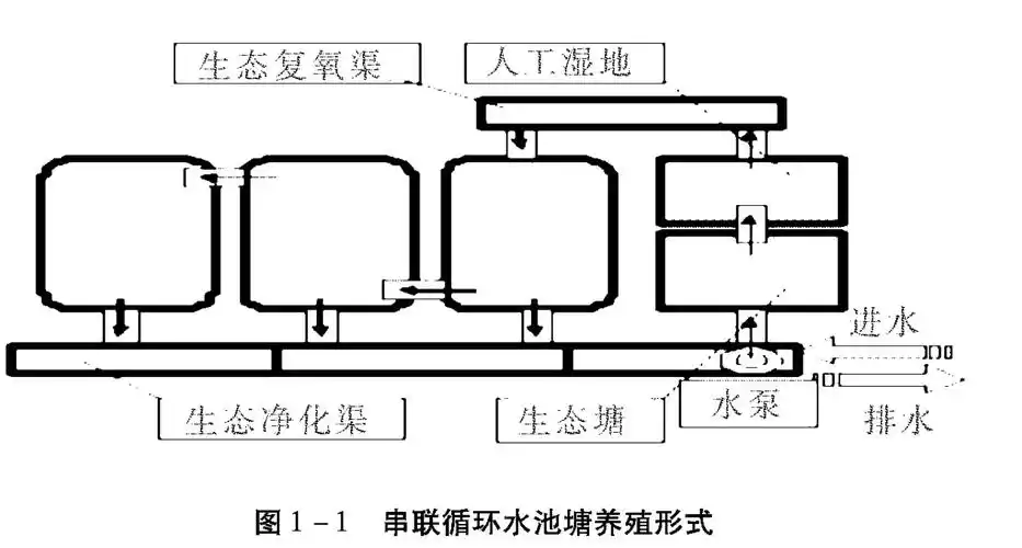 《池塘科学养鱼实用技术》 | 第一章 池塘规划设计 一,目标定位