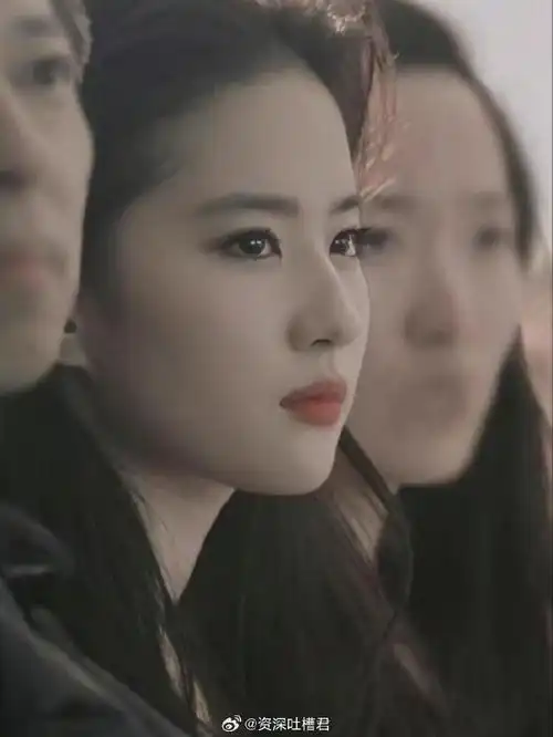 普通人的脸和刘亦菲的脸