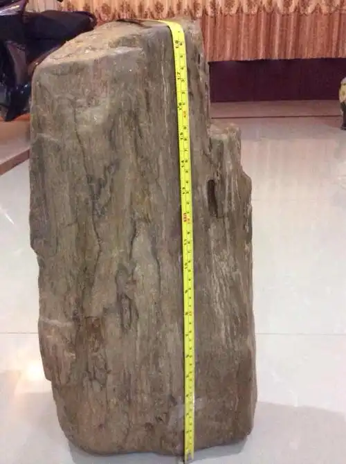 清问什么地方会收这样的树化石,60斤重,很硬.柬埔寨出土的.