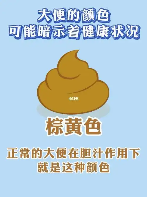 大便的颜色可能暗示着你的健康状况