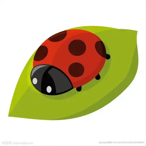 矢量七星瓢虫图片