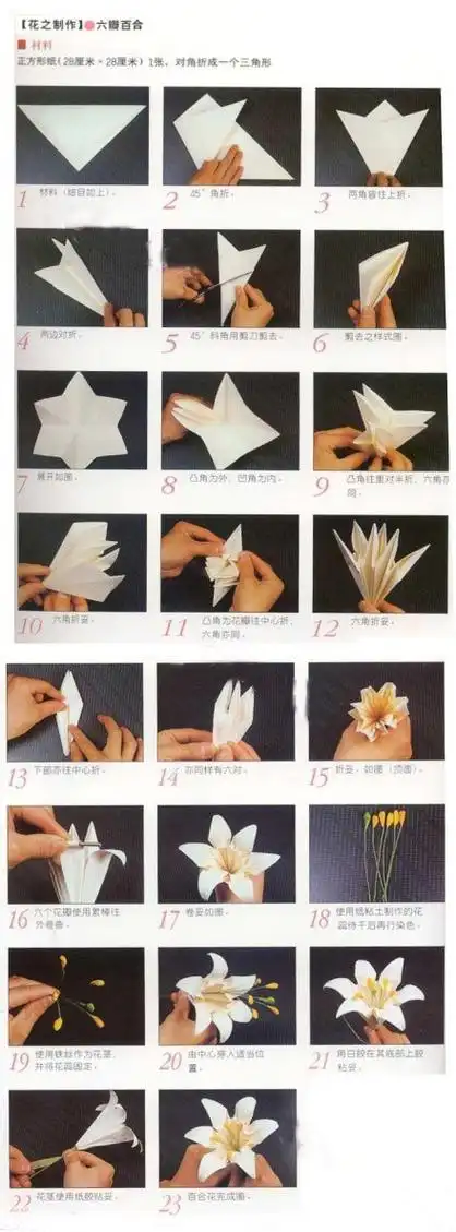 六瓣百合花折纸diy教程快来学一学折出六瓣的百合花吧