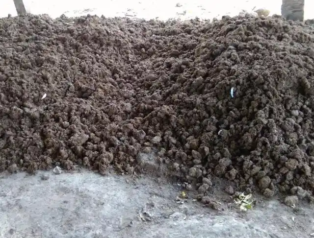 怎样发酵鸡粪?虽然它有利于作物生长,但要注意使用方法