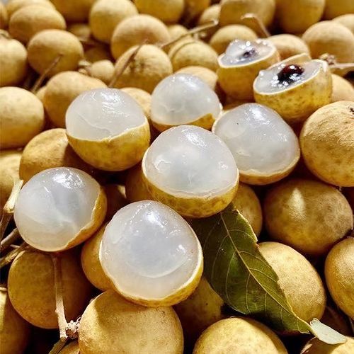 顺丰包邮 新鲜龙眼4斤当季水果桂圆