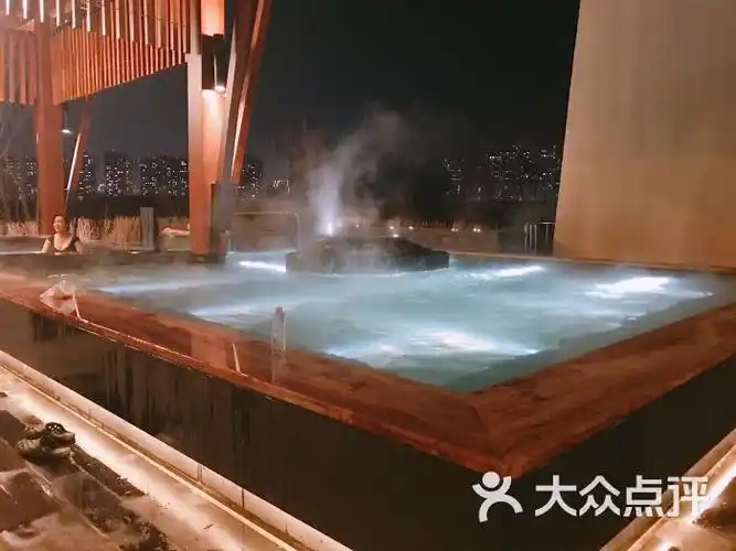 沈阳清河半岛温泉度假酒店图片 - 第15张