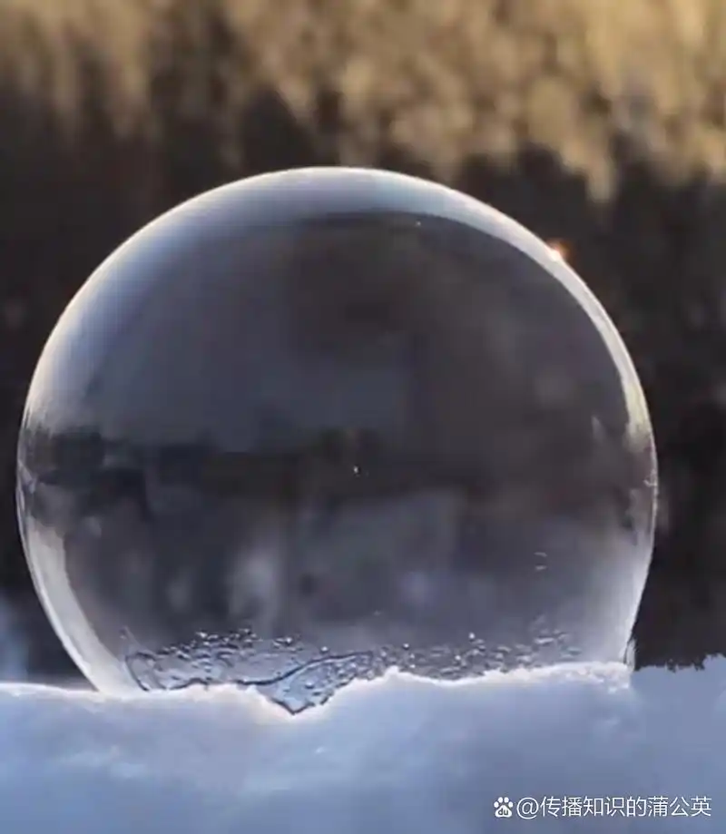 今天立冬了,分享大家一组图片,是肥皂泡慢慢结冰的过程,有点神奇.