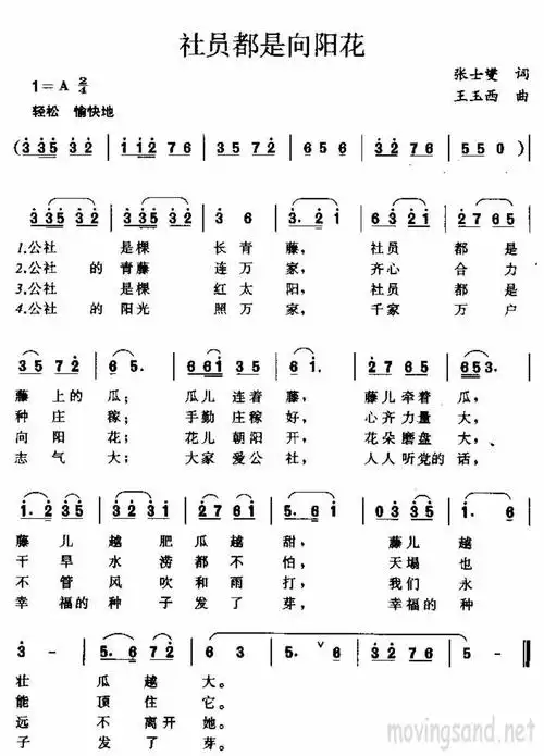 社员都是向阳花